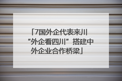 7国外企代表来川 “外企看四川”搭建中外企业合作桥梁