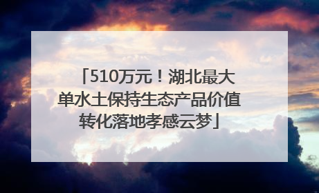 510万元！湖北最大单水土保持生态产品价值转化落地孝感云梦