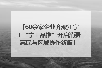 60余家企业齐聚江宁！“宁工品推”开启消费惠民与区域协作新篇