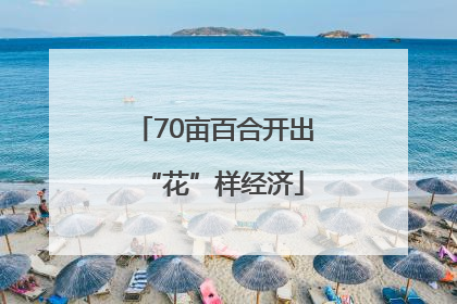 70亩百合开出“花”样经济