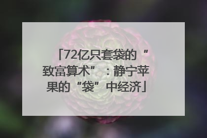 72亿只套袋的“致富算术”：静宁苹果的“袋”中经济