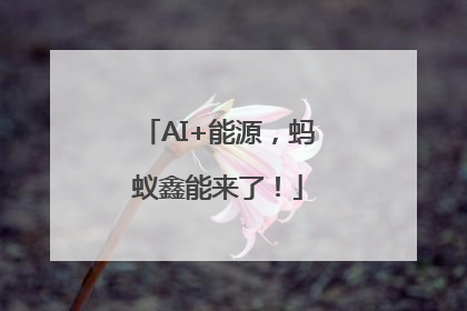 AI+能源，蚂蚁鑫能来了！
