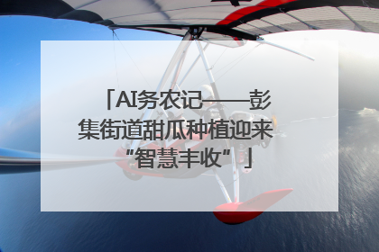 AI务农记——彭集街道甜瓜种植迎来“智慧丰收”