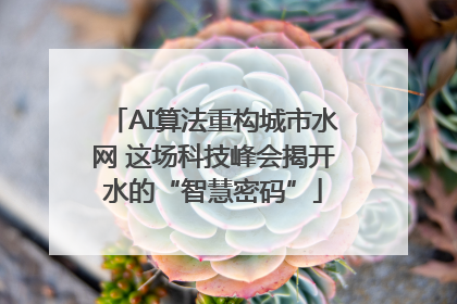 AI算法重构城市水网 这场科技峰会揭开水的“智慧密码”