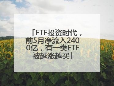 ETF投资时代，前5月净流入2400亿，有一类ETF被越涨越买