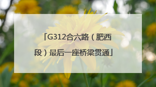 G312合六路（肥西段）最后一座桥梁贯通
