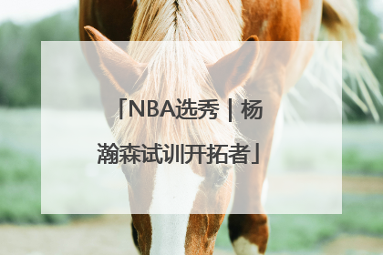 NBA选秀｜杨瀚森试训开拓者