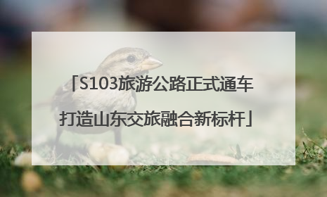 S103旅游公路正式通车 打造山东交旅融合新标杆